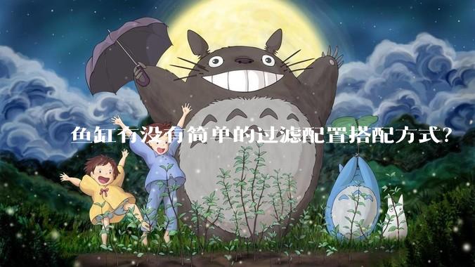 鱼缸有没有简单的过滤配置搭配方式？