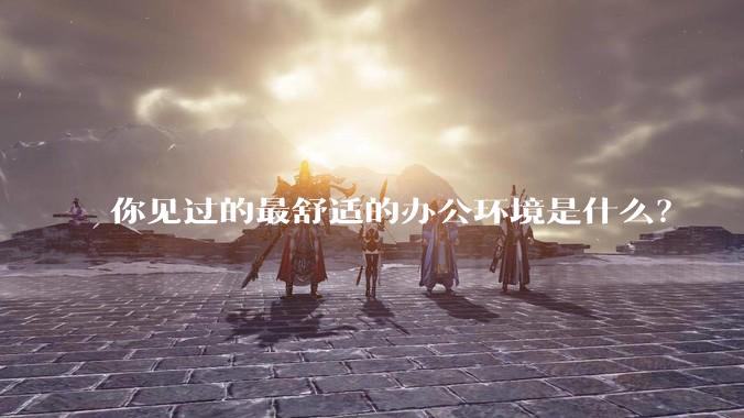 你见过的最舒适的办公环境是什么？