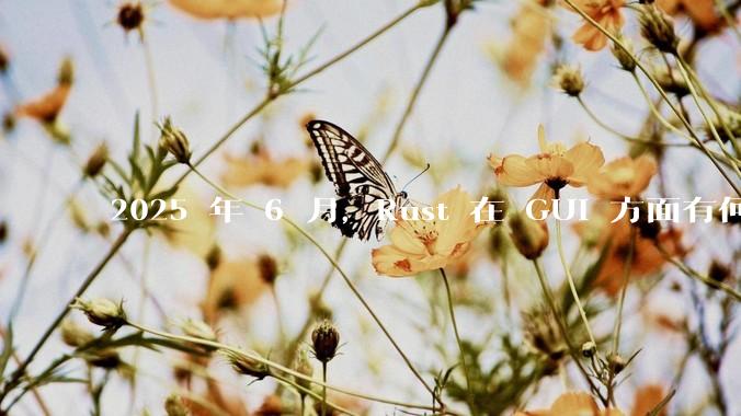 2025 年 6 月，Rust 在 GUI 方面有何大的进展? 你最看好哪个框架?