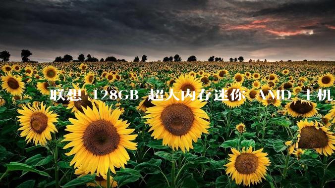 联想 128GB 超大内存迷你 AMD 主机上架，此款主机有哪些亮点？